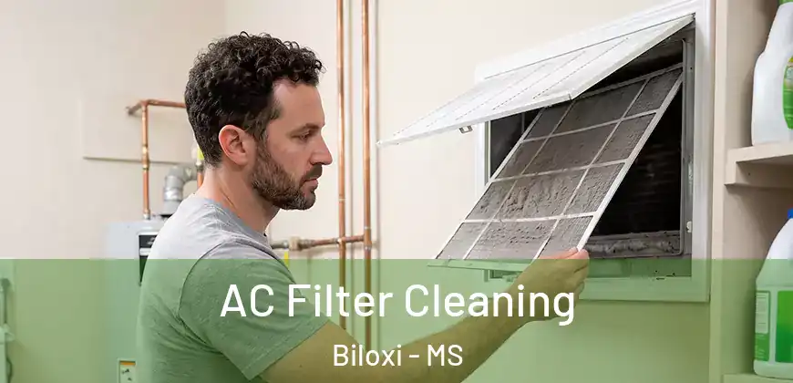 AC Filter Cleaning Biloxi - MS