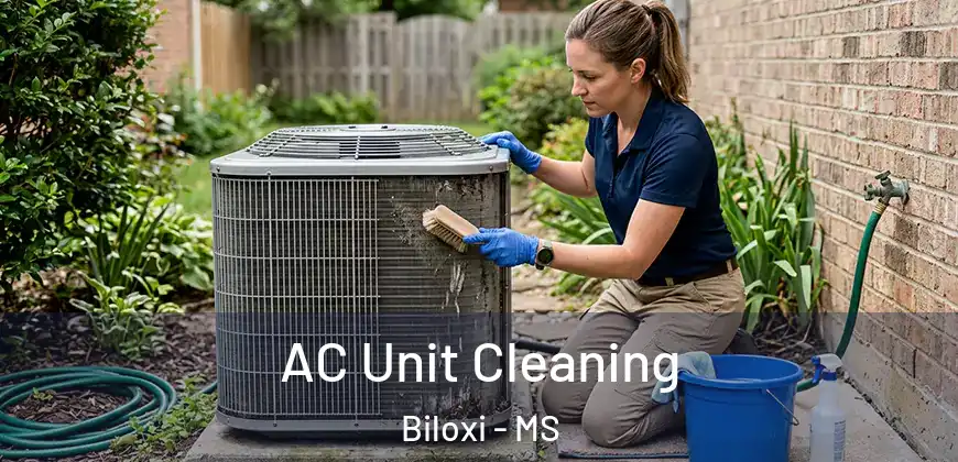 AC Unit Cleaning Biloxi - MS